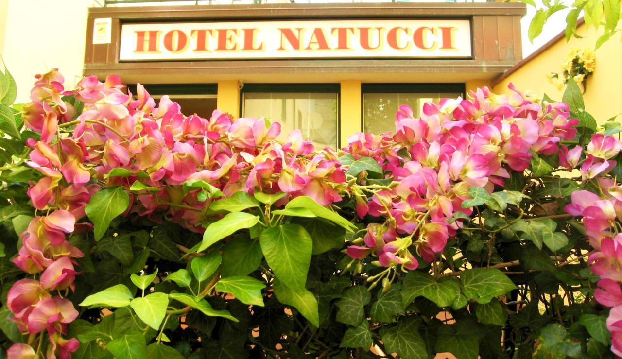 Albergo Natucci 몬테카티니테르메 외부 사진